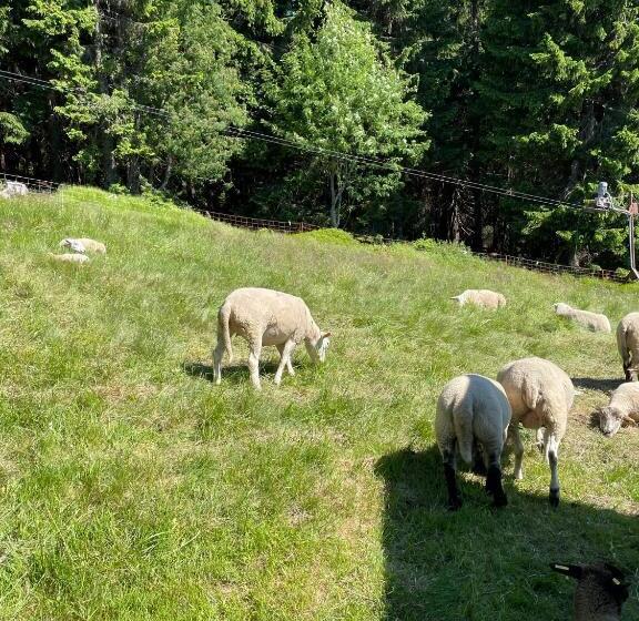 ペンション Horský Penzion Vebrovy Boudy