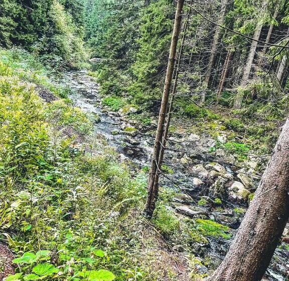 ペンション Horský Penzion Vebrovy Boudy