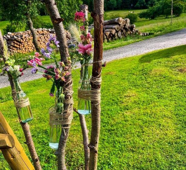 ペンション Horský Penzion Vebrovy Boudy