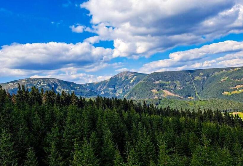 ペンション Horský Penzion Vebrovy Boudy