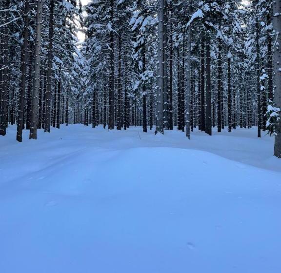 ペンション Horský Penzion Vebrovy Boudy