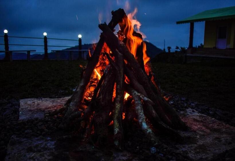 فندق Misty Hill Resort