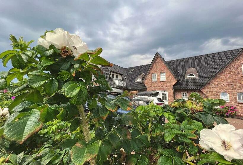 Wellenreiter Am Meer