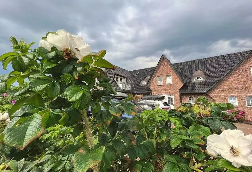 Wellenreiter Am Meer