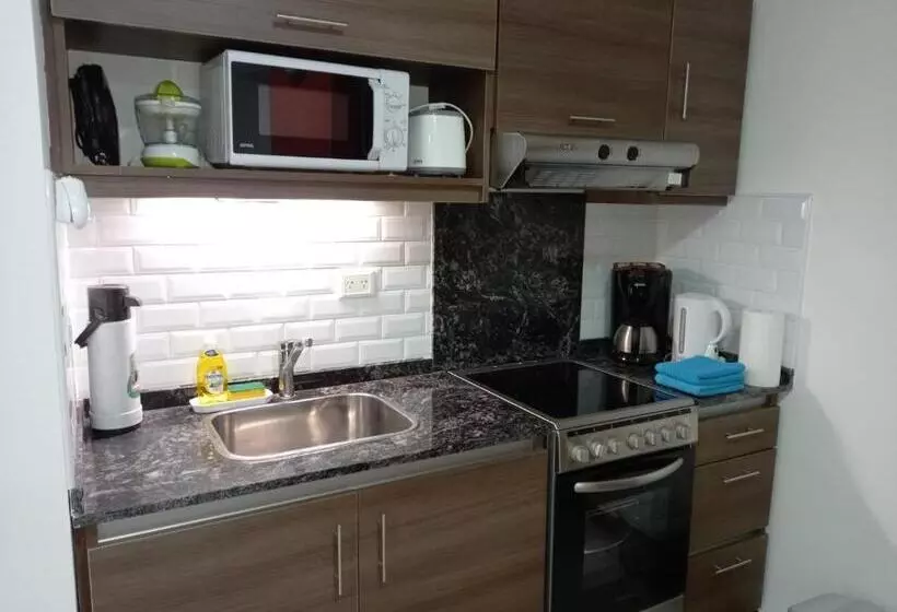 Departamento En Recoleta Excelente