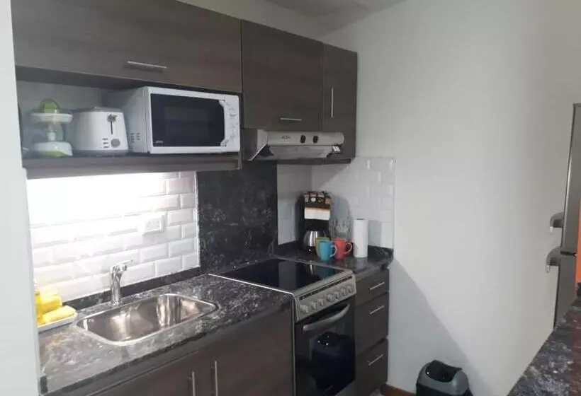 Departamento En Recoleta Excelente