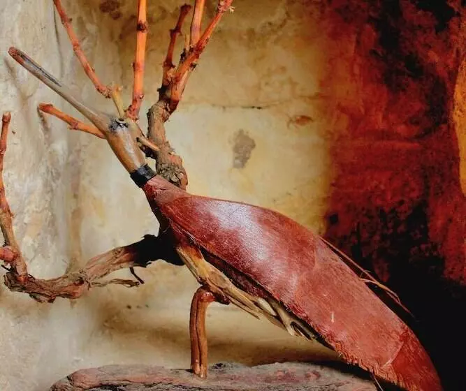 Mons Masius Boutique Hotel Teras