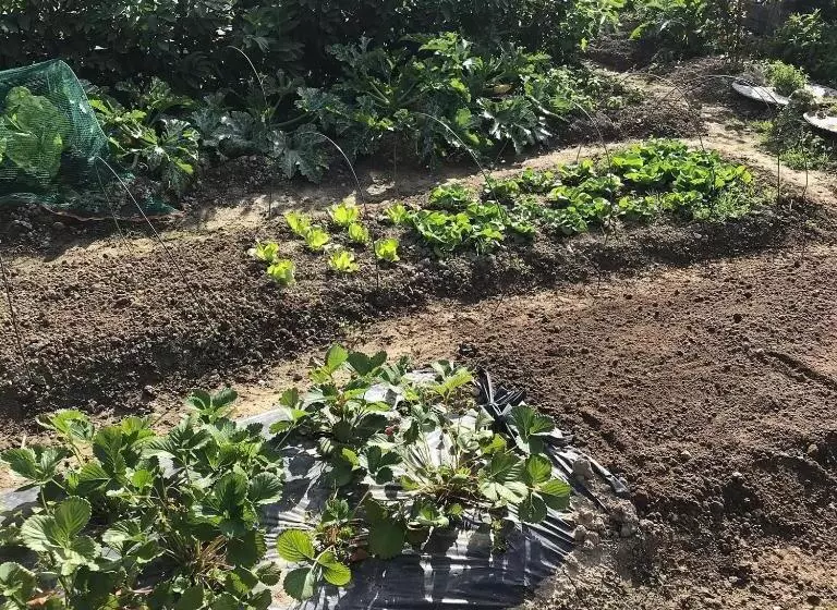 ペンション Casa Tognetti