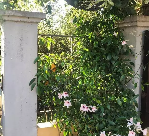 ペンション Casa Tognetti