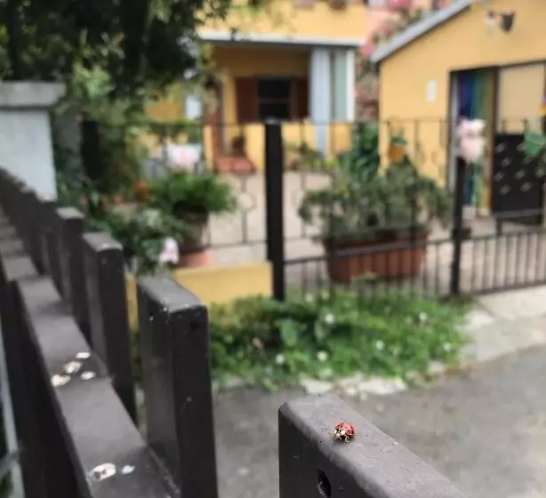 ペンション Casa Tognetti