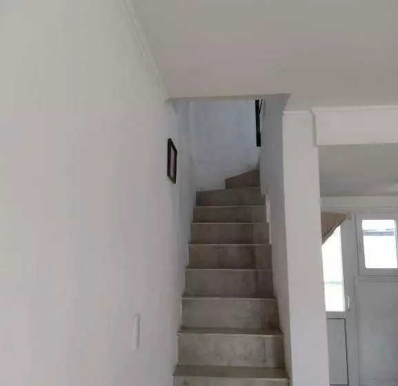 Serrano 8