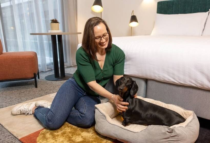 Otel The Sebel Canberra Campbell