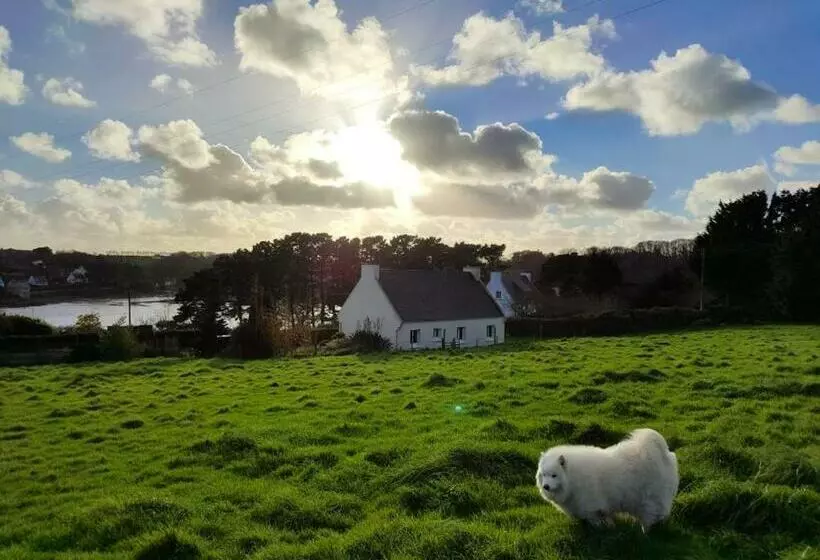 Maison Vue Mer A Plouguerneau
