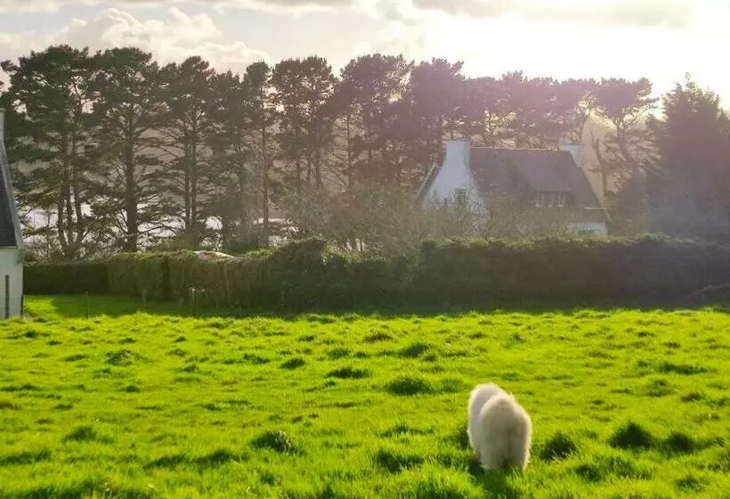 Maison Vue Mer A Plouguerneau