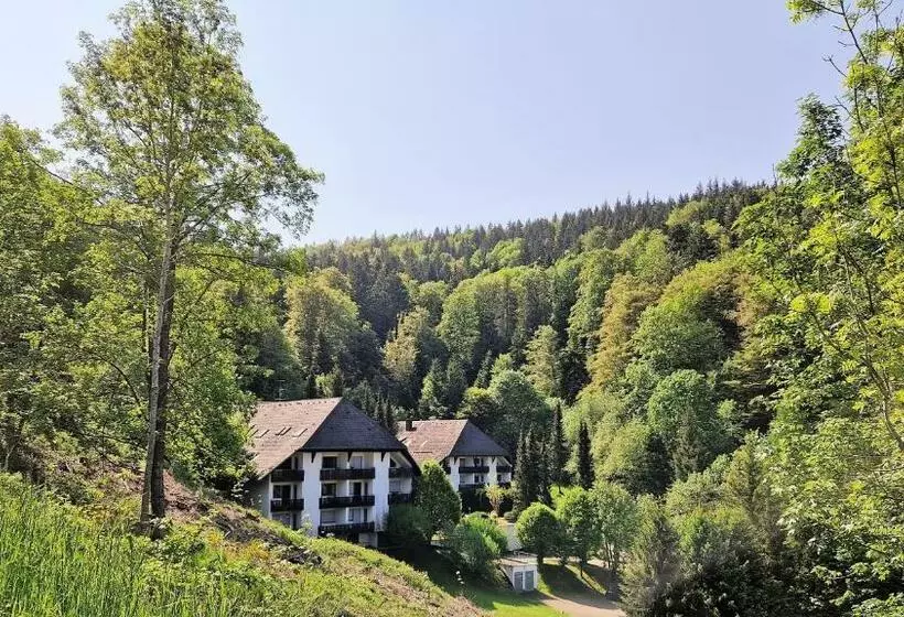 Ferienwohnung In Triberg Am Waldrand   Idyllisch, Ruhig, Erholsam