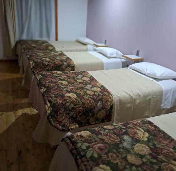 ペンション Hostal Chiloe Travel