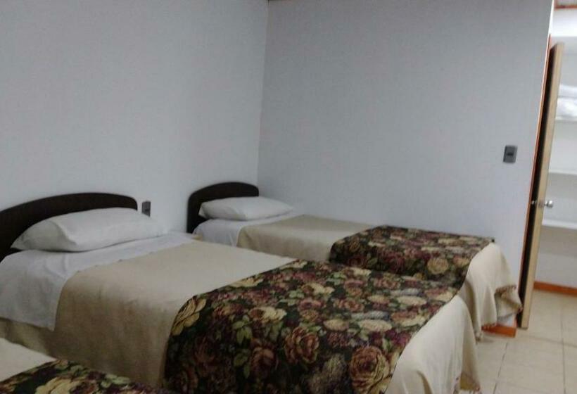 ペンション Hostal Chiloe Travel