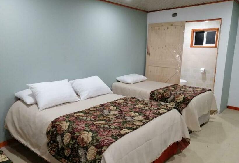 ペンション Hostal Chiloe Travel