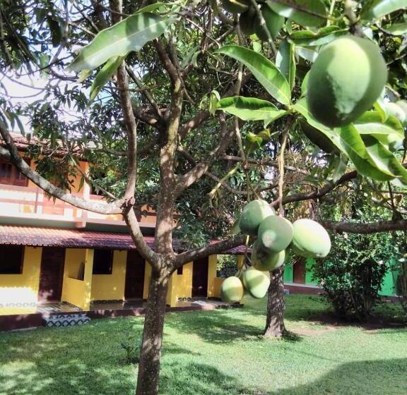 פנסיון Pousada Abacateiro