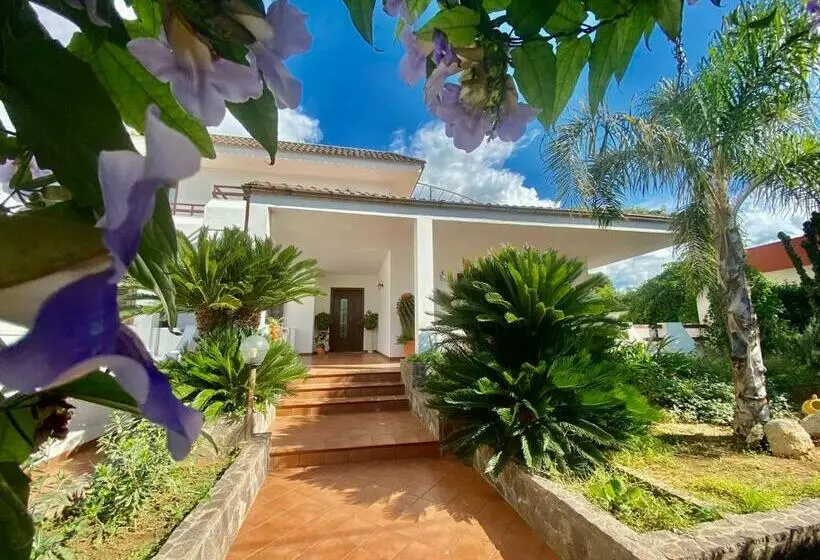 The Rosa S Luxury House