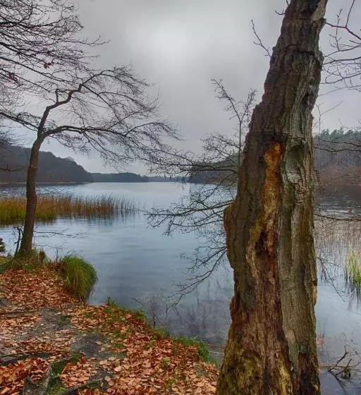 בית מלון כפרי Am Liepnitzsee