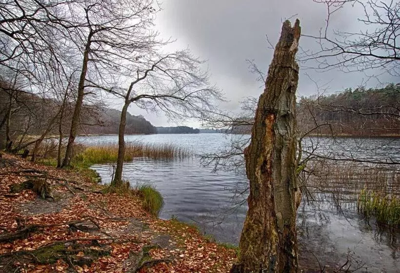 בית מלון כפרי Am Liepnitzsee