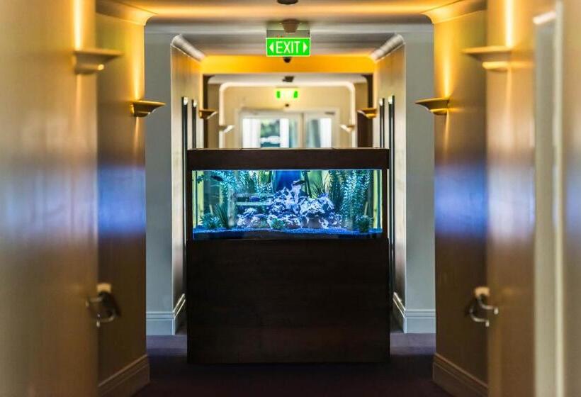 فندق Century Inn