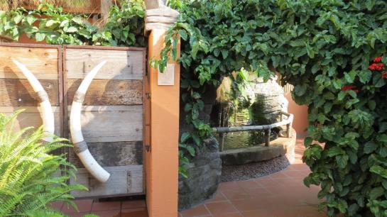 פנסיון Dinkwe Guest House