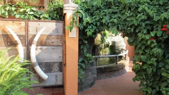 بنسيون Dinkwe Guest House