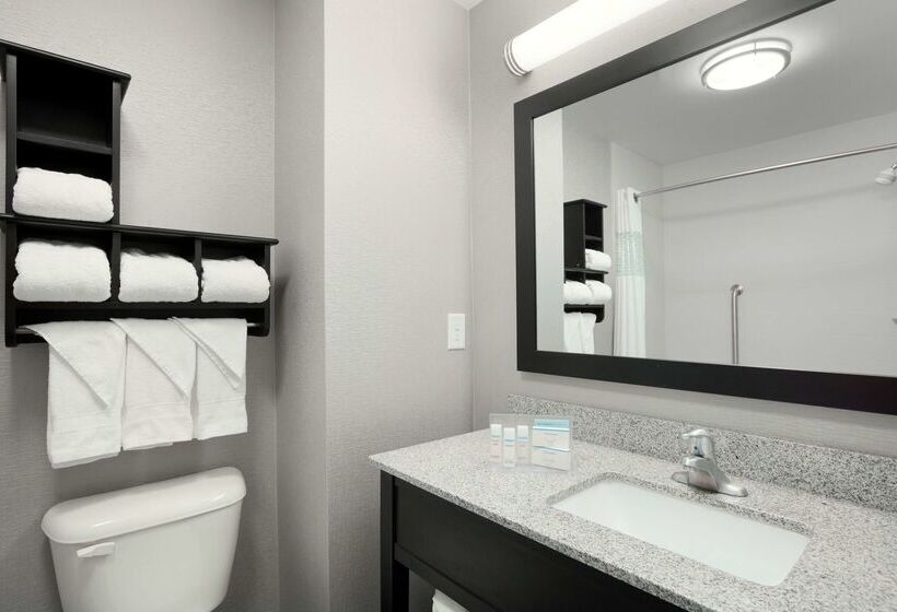 酒店 Hampton Inn & Suites Roanoke Airport