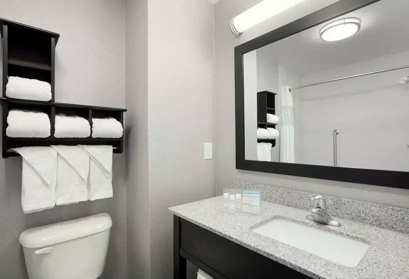 Отель Hampton Inn & Suites Roanoke Airport