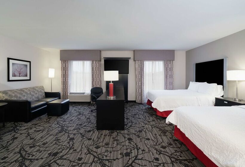 酒店 Hampton Inn & Suites Roanoke Airport