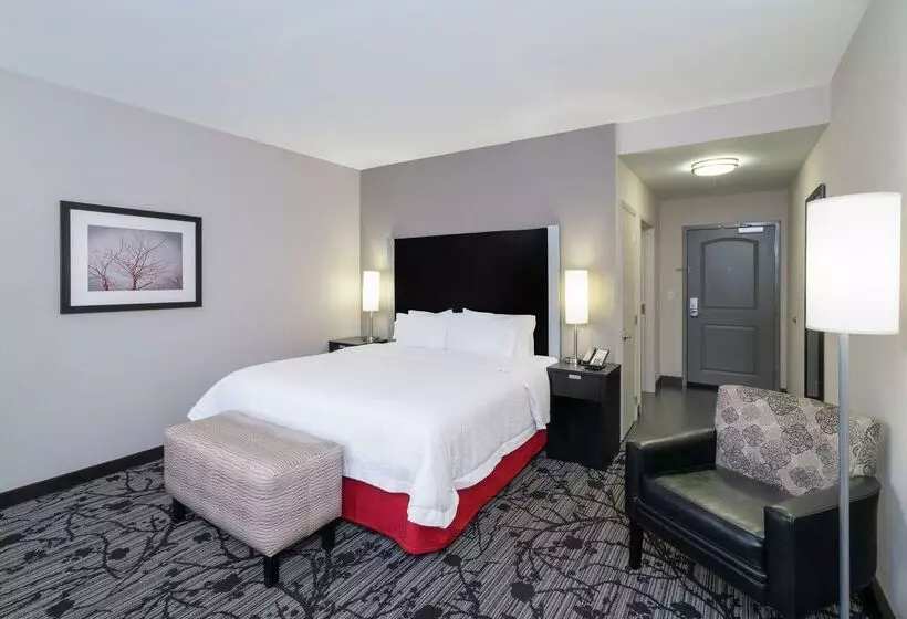 Отель Hampton Inn & Suites Roanoke Airport