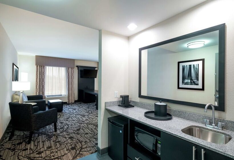 酒店 Hampton Inn & Suites Roanoke Airport