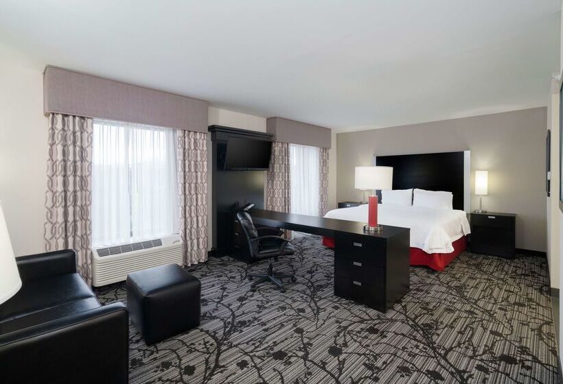 酒店 Hampton Inn & Suites Roanoke Airport