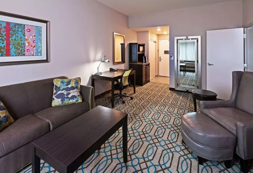 ホテル Hilton Garden Inn West Little Rock