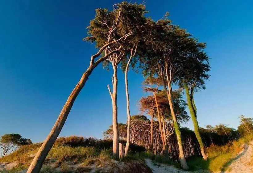 בית מלון כפרי & Restaurant Seebrücke