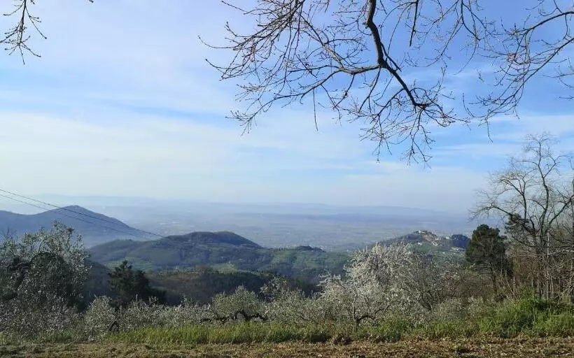 ホテル Agriturismo Menghino