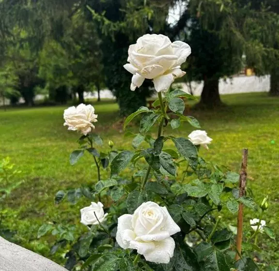 Residence Il Giardino Sul Fiume Nera