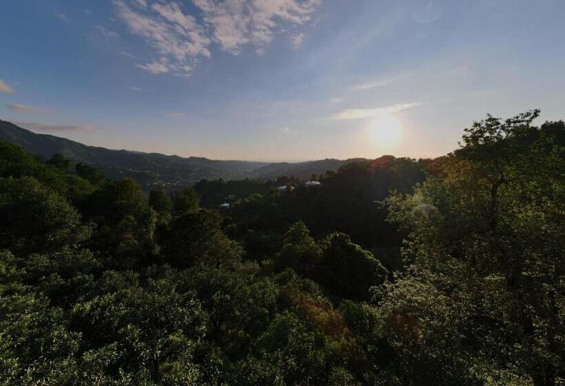 پانسیون Guest House Marta