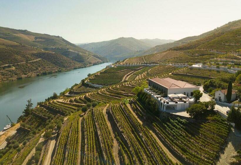 Quinta De São Luiz The Vine House