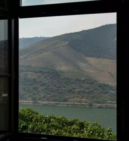 Quinta De São Luiz The Vine House