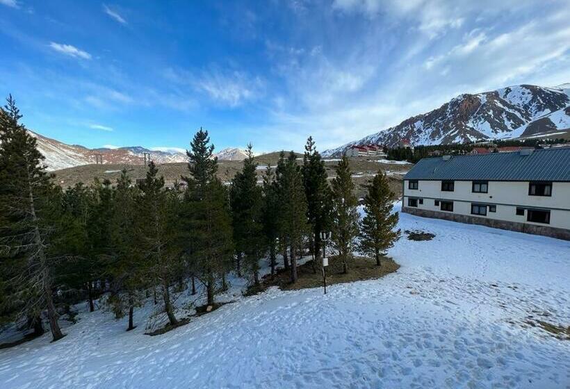 Departamento Valle Las Leñas