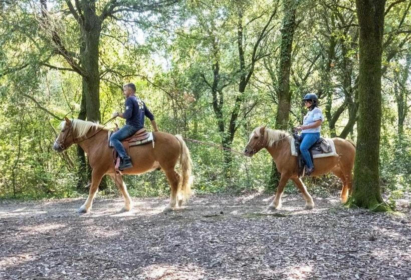 בית מלון כפרי Agriturismo Casal Cerqueto