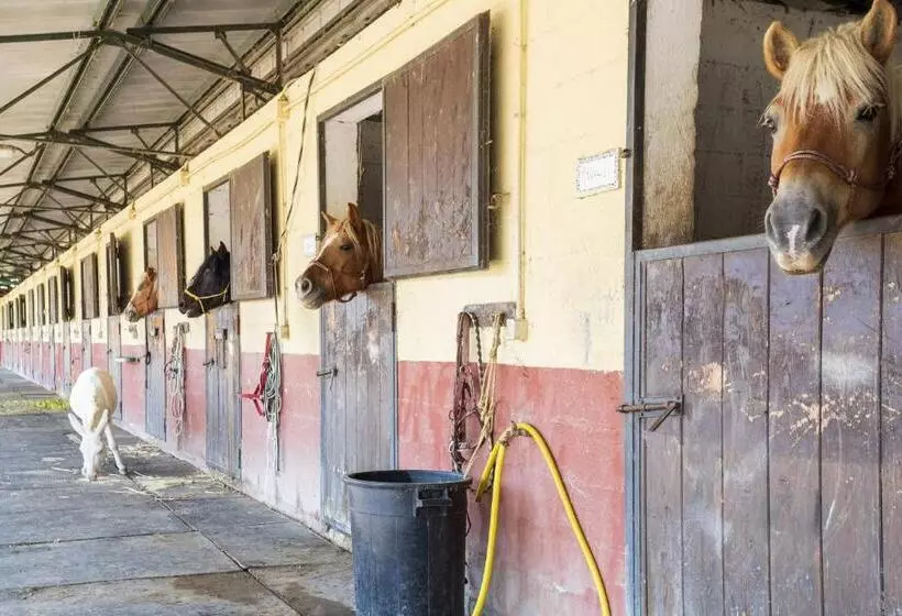 ホテル Agriturismo Casal Cerqueto