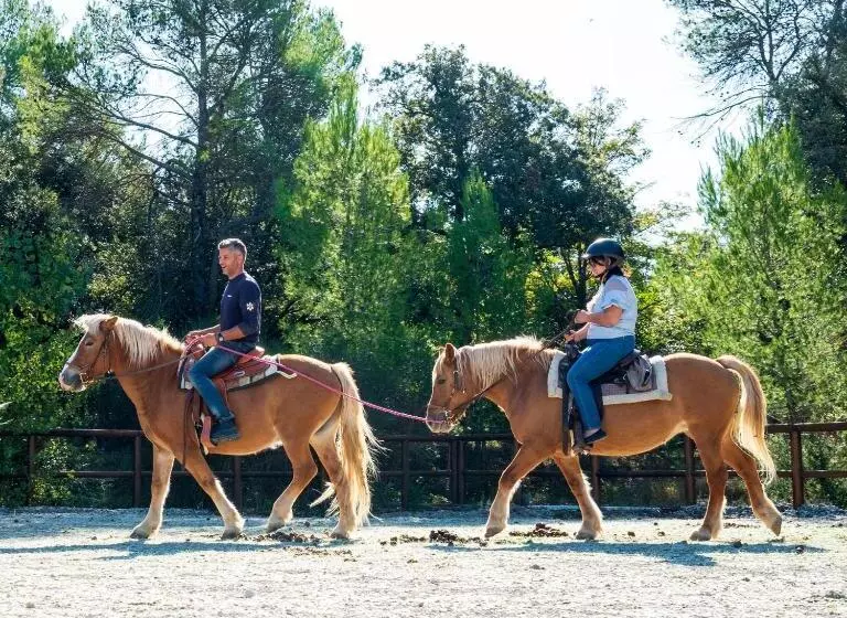 ホテル Agriturismo Casal Cerqueto