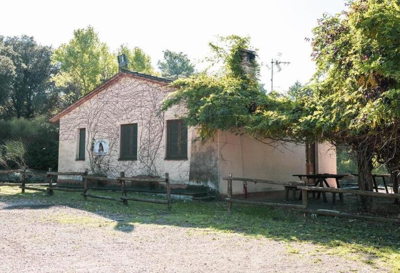 בית מלון כפרי Agriturismo Casal Cerqueto