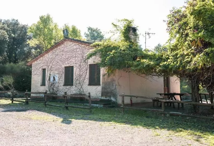 ホテル Agriturismo Casal Cerqueto