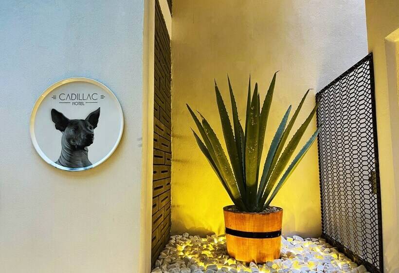 Капсульный Oтель Cadillac Cocoon Beds