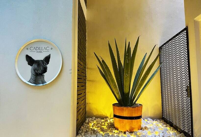 Капсульный Oтель Cadillac Cocoon Beds